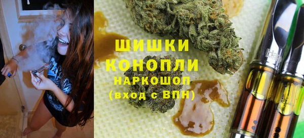 прущие грибы Сосновый Бор