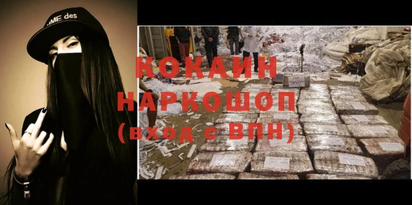 сатива Сосновка